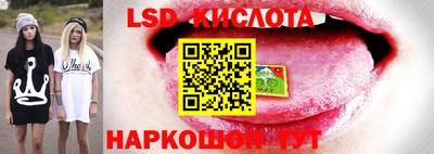 эйфоретик Туймазы