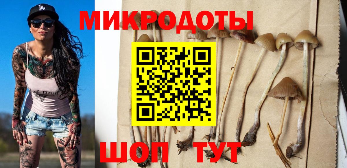 Псилоцибиновые грибы Psilocybe Миллерово
